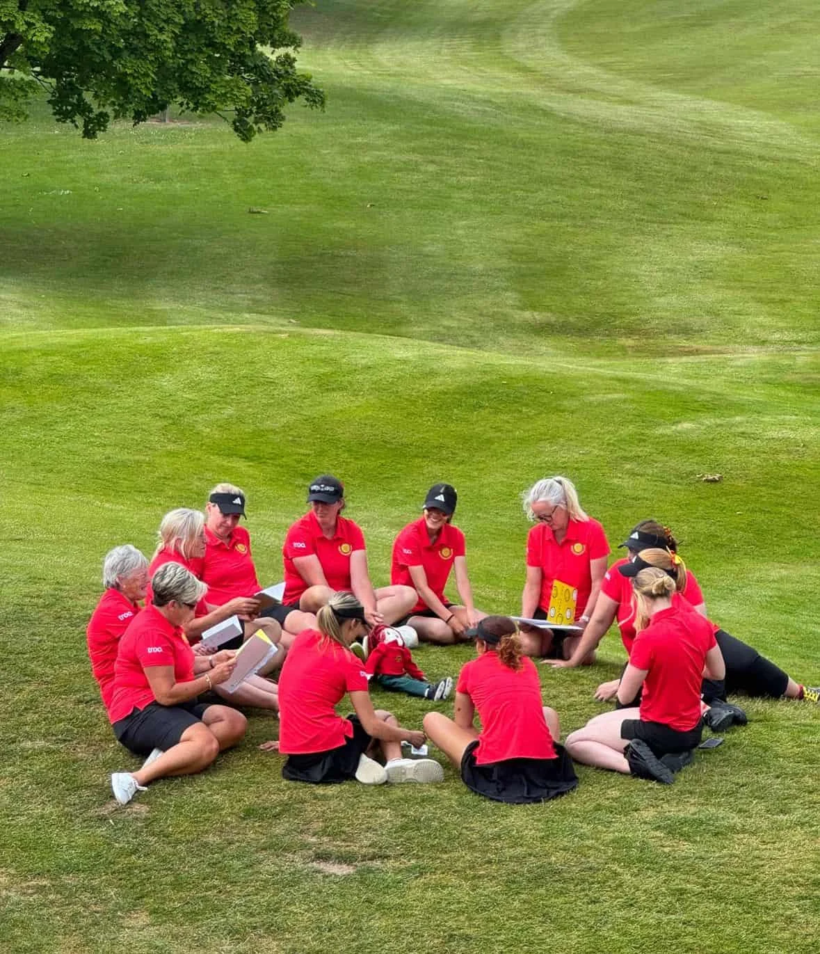 a team sitting