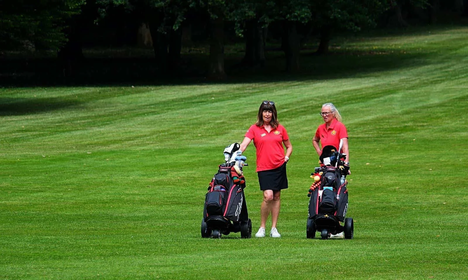 caddies