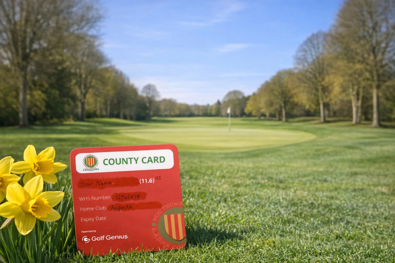 new county card scheme 2026