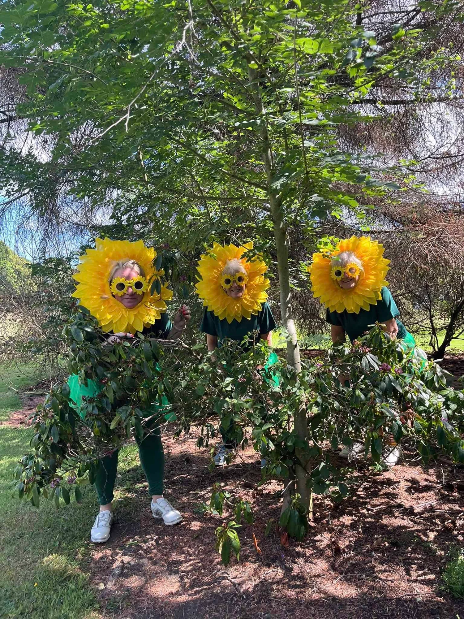 Fantastic Flowers at Durnell